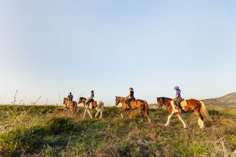 Carousel image